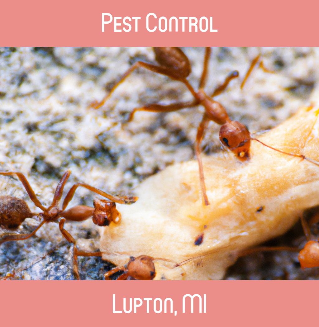 pest control in Lupton Michigan