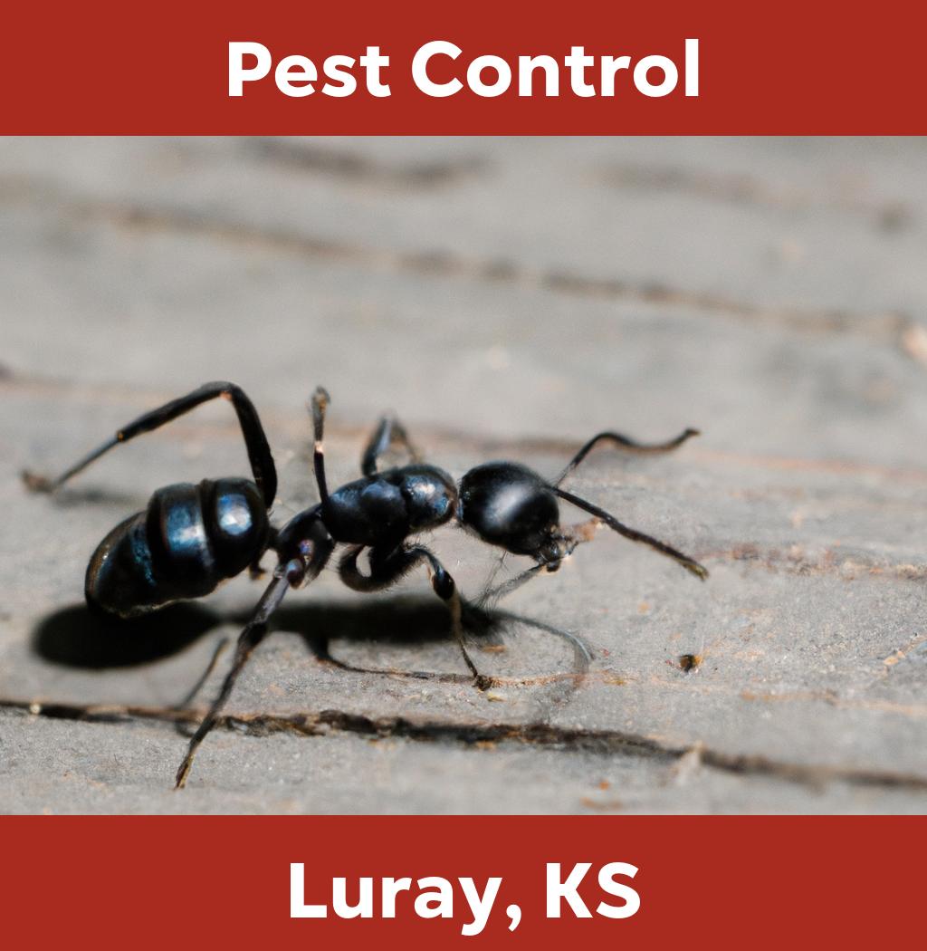 pest control in Luray Kansas