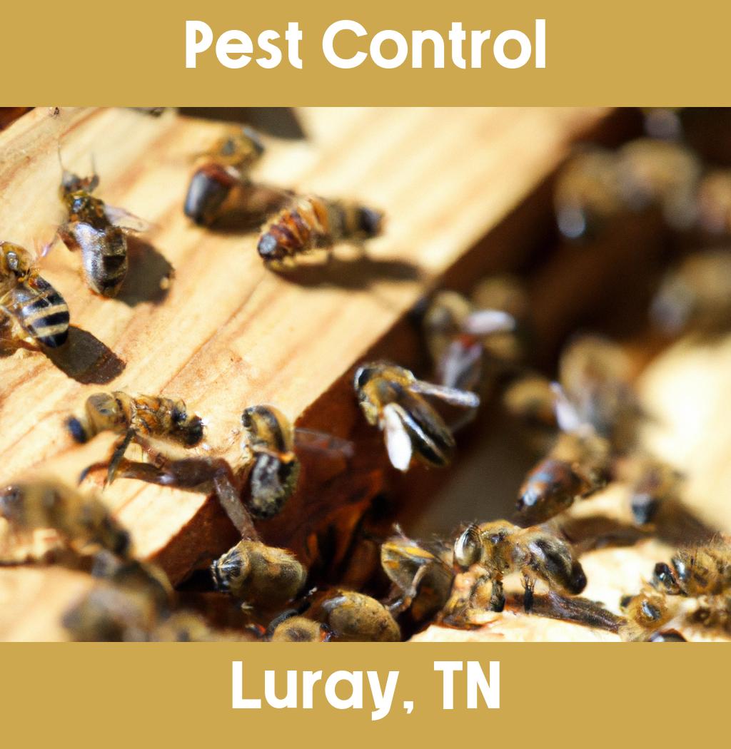 pest control in Luray Tennessee