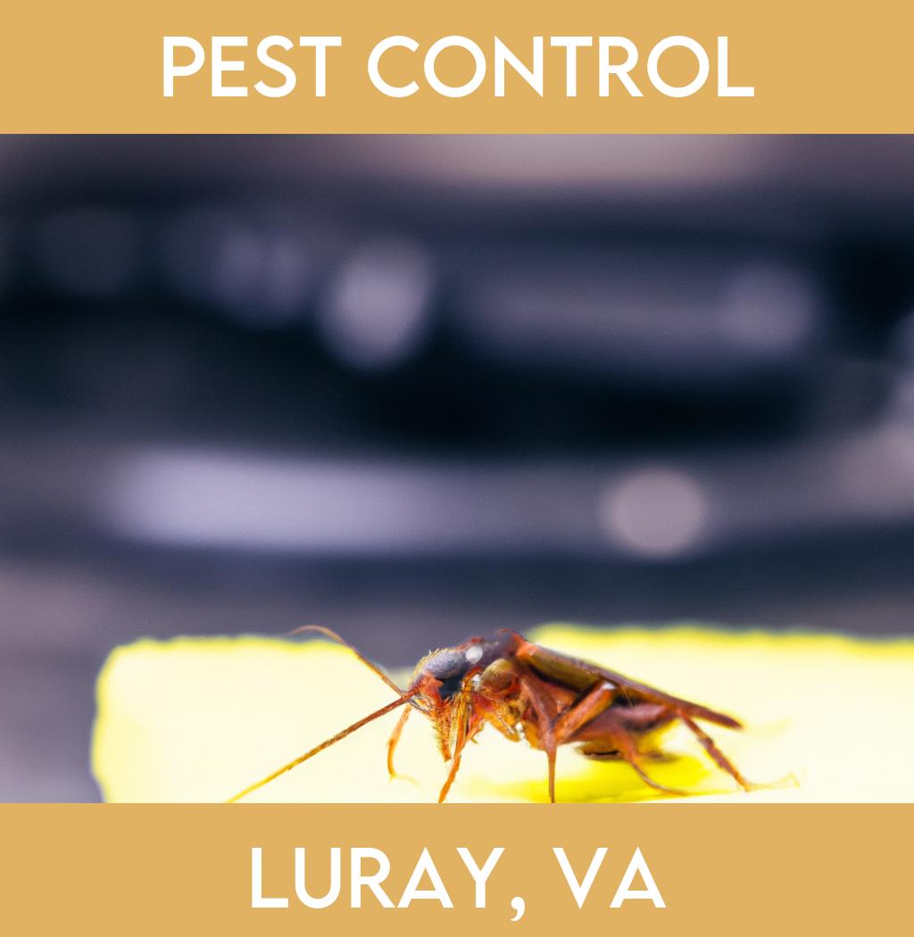 pest control in Luray Virginia