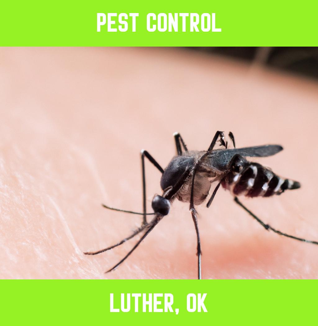 pest control in Luther Oklahoma