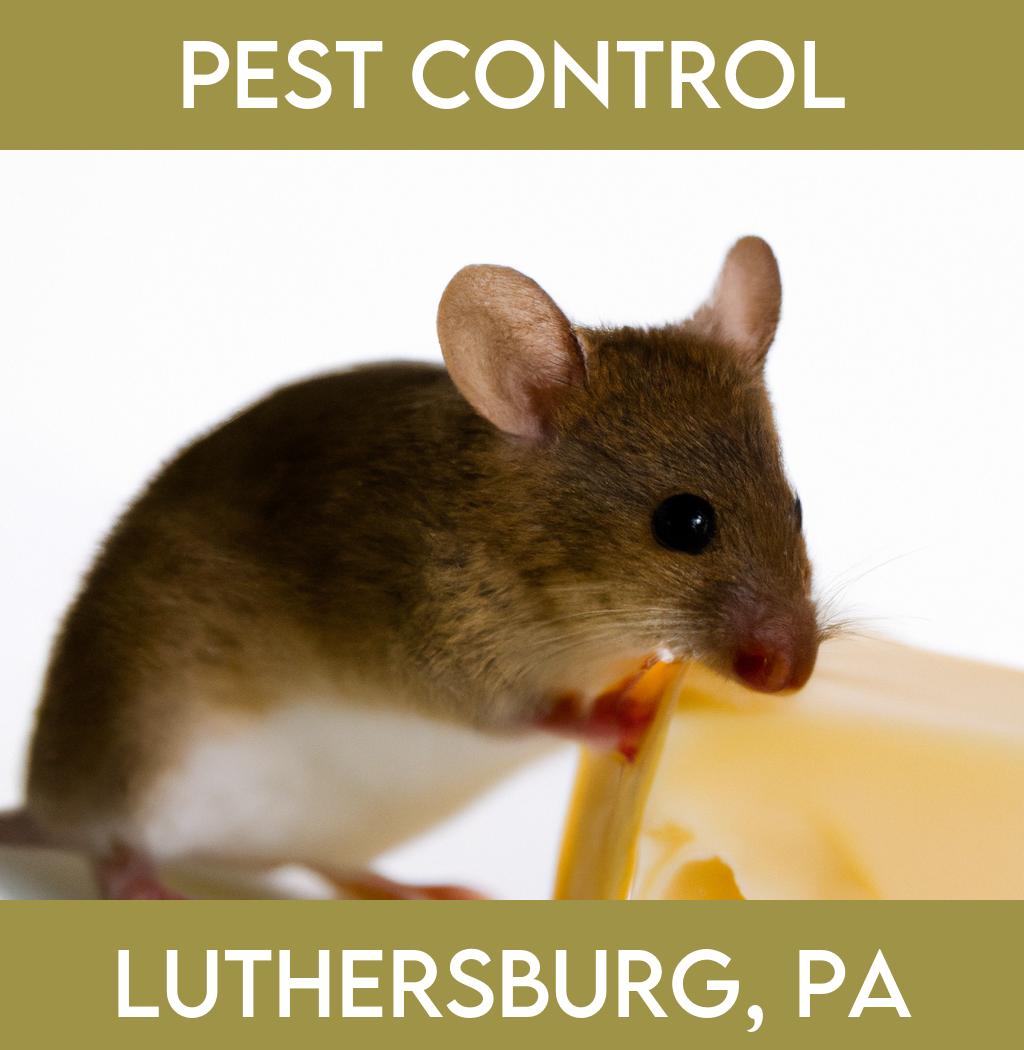 pest control in Luthersburg Pennsylvania