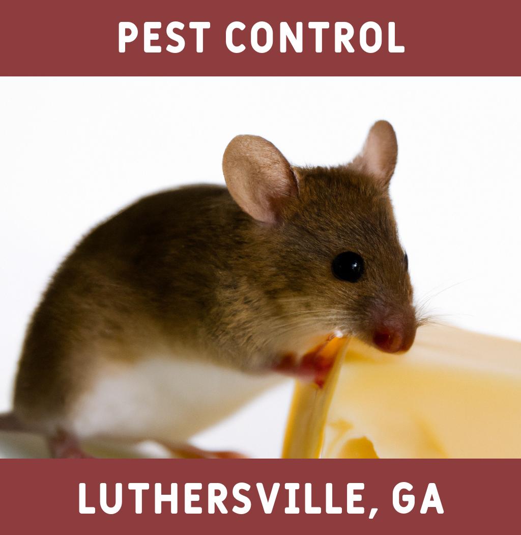 pest control in Luthersville Georgia