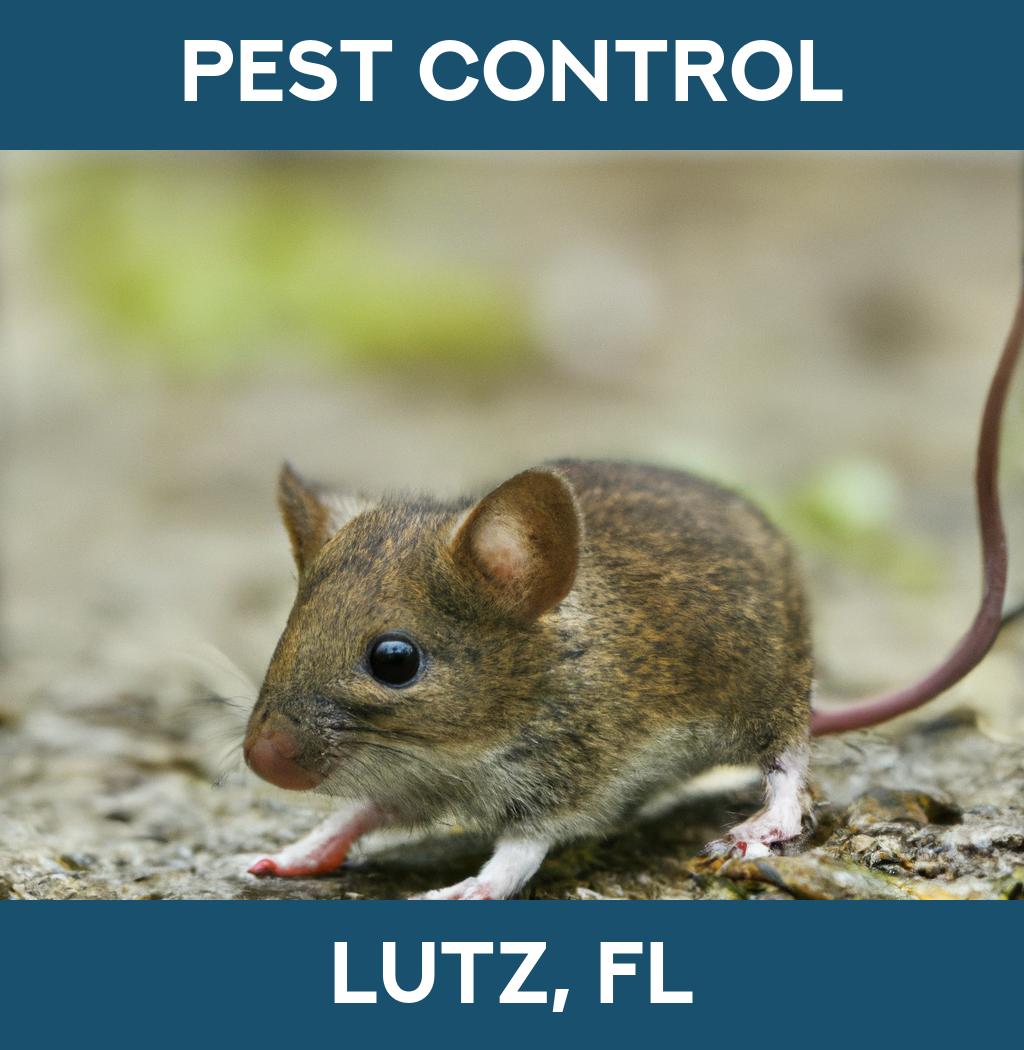 pest control in Lutz Florida