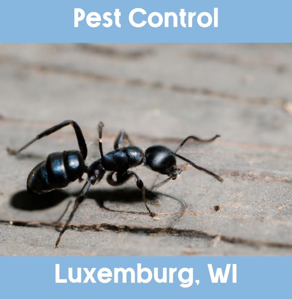 pest control in Luxemburg Wisconsin