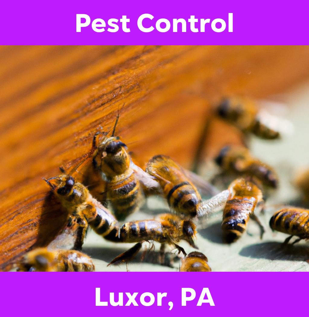 pest control in Luxor Pennsylvania