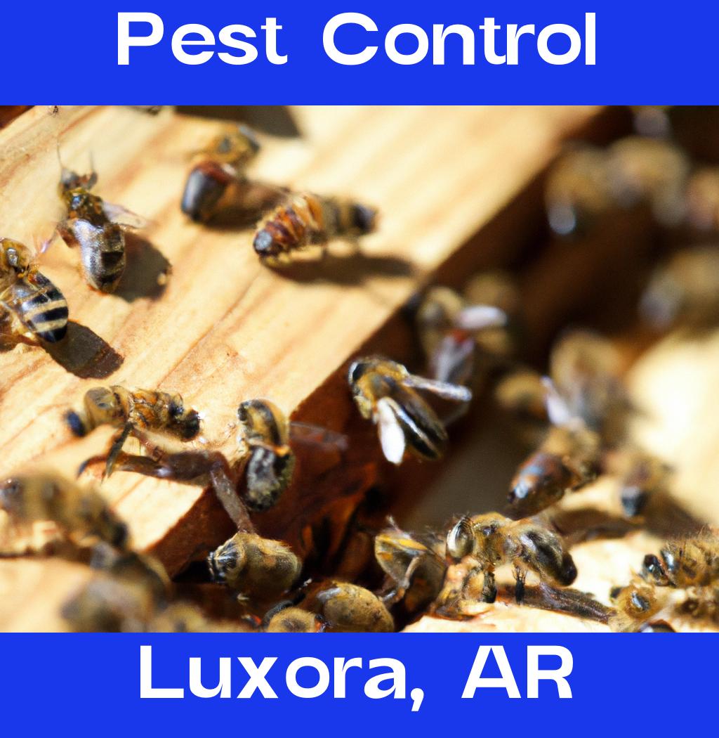 pest control in Luxora Arkansas