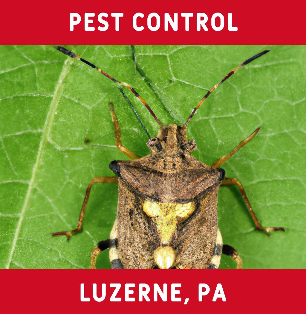 pest control in Luzerne Pennsylvania