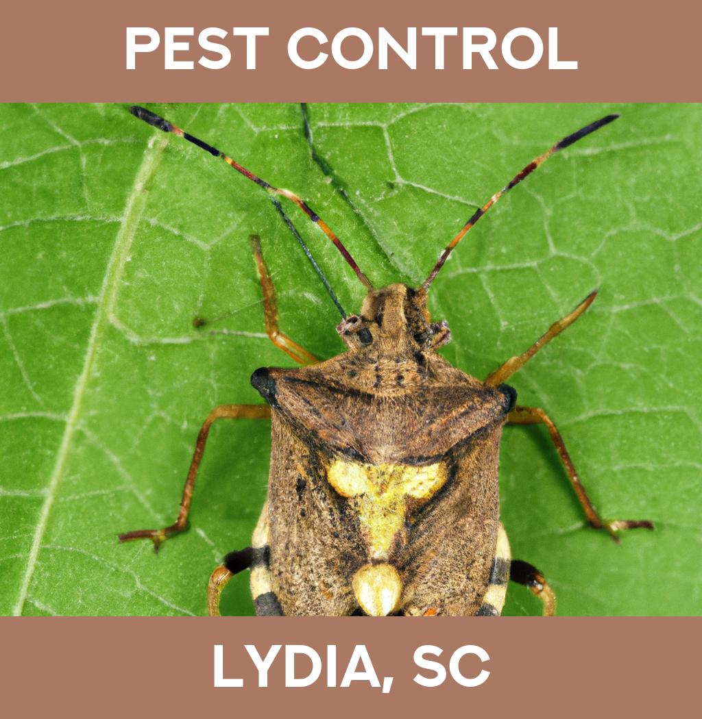 pest control in Lydia South Carolina