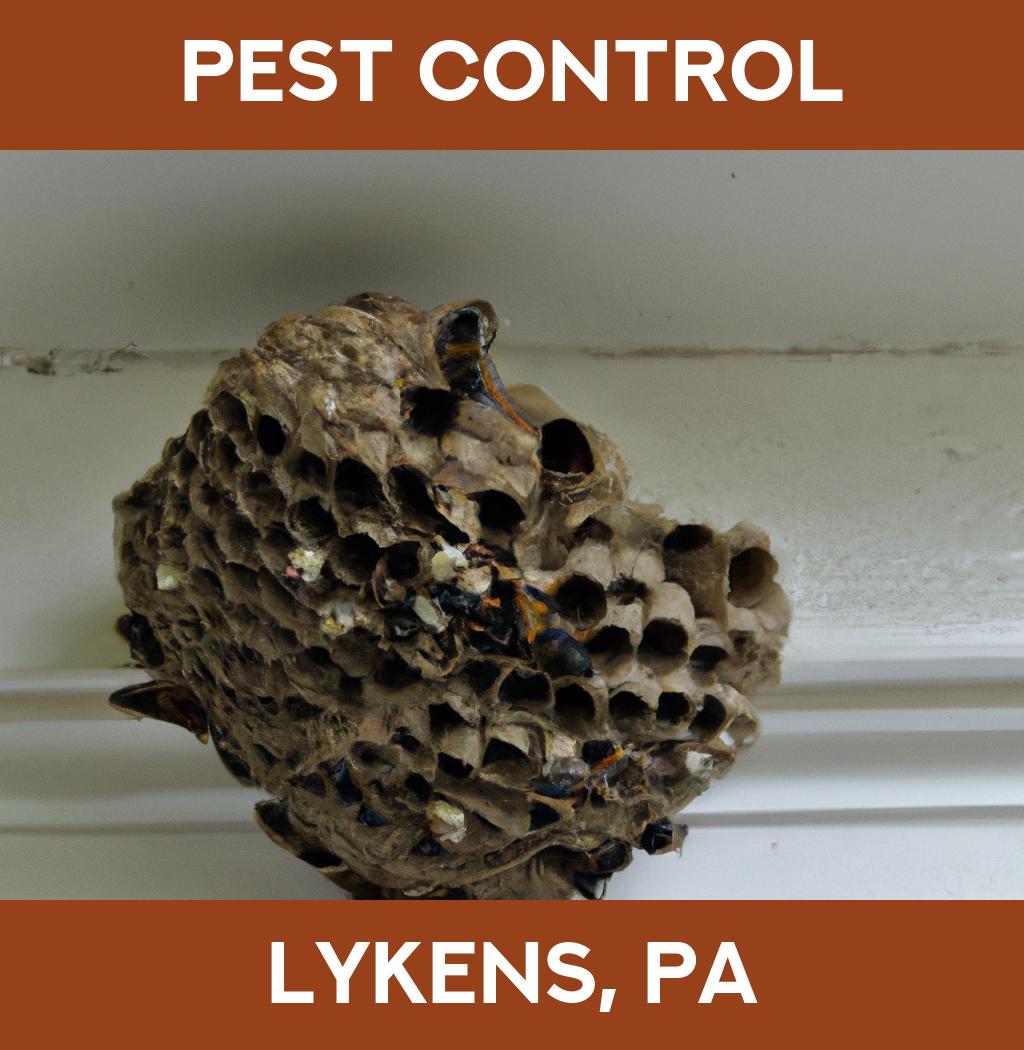 pest control in Lykens Pennsylvania