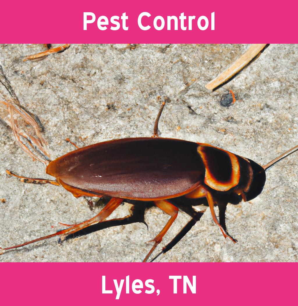 pest control in Lyles Tennessee