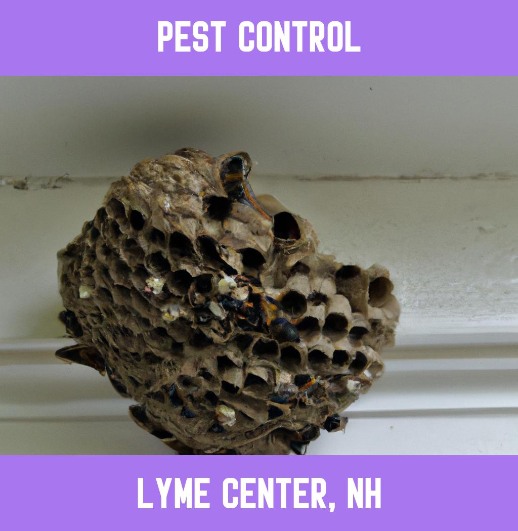 pest control in Lyme Center New Hampshire