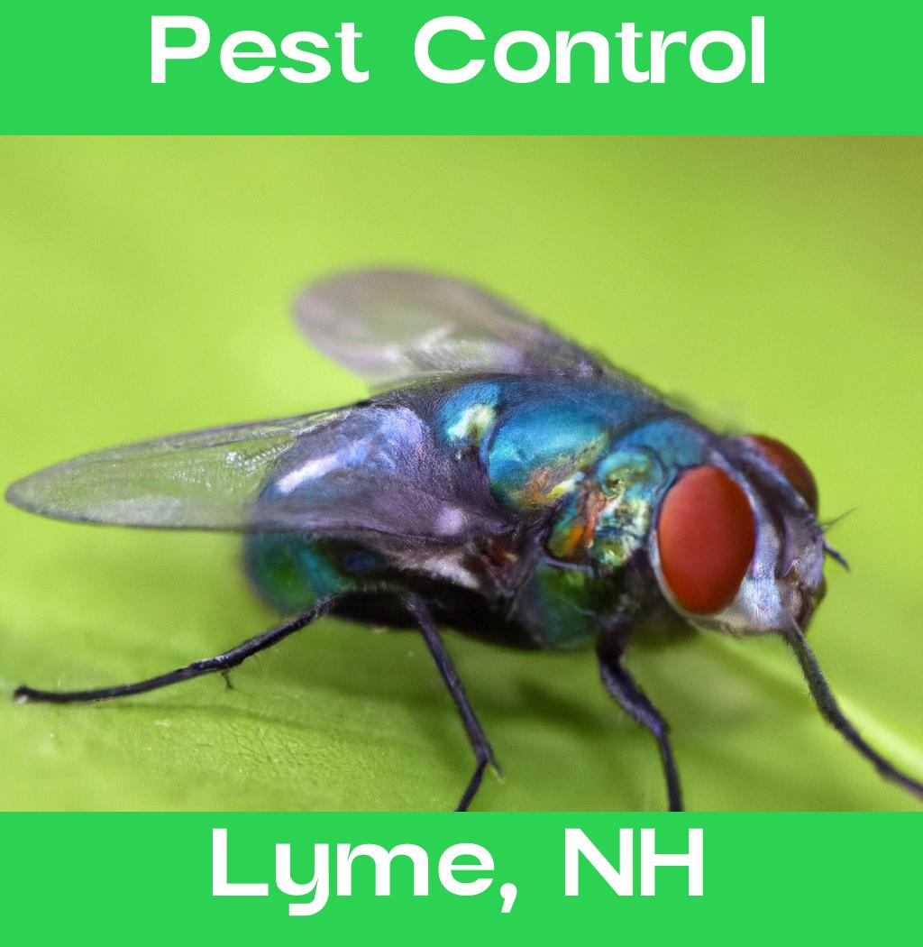 pest control in Lyme New Hampshire
