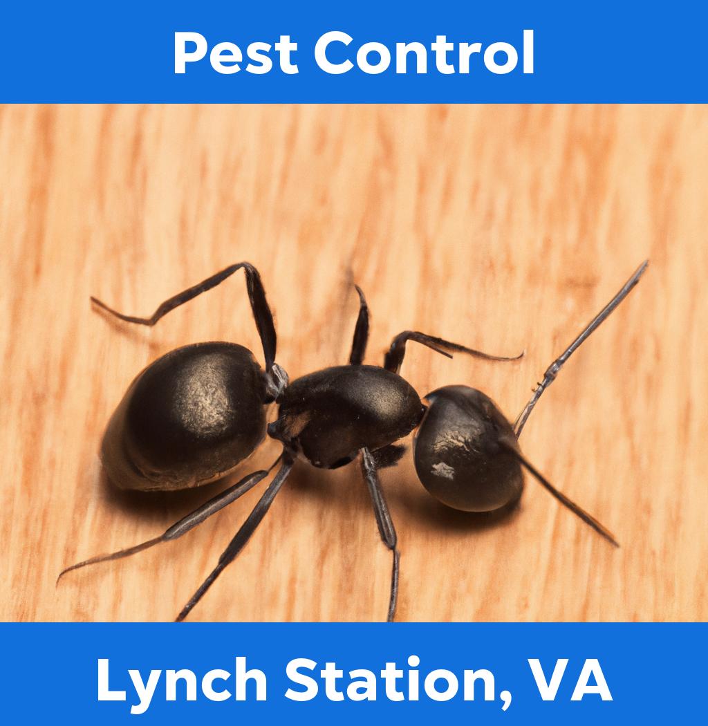 pest control in Lynch Station Virginia