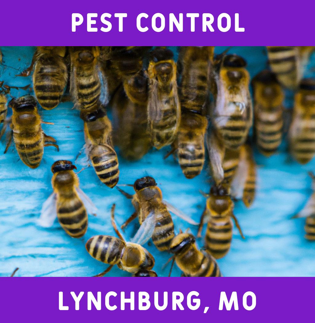 pest control in Lynchburg Missouri