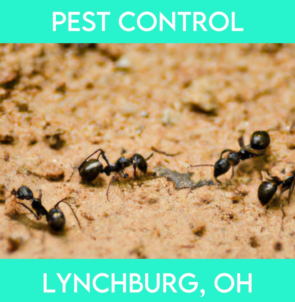 pest control in Lynchburg Ohio
