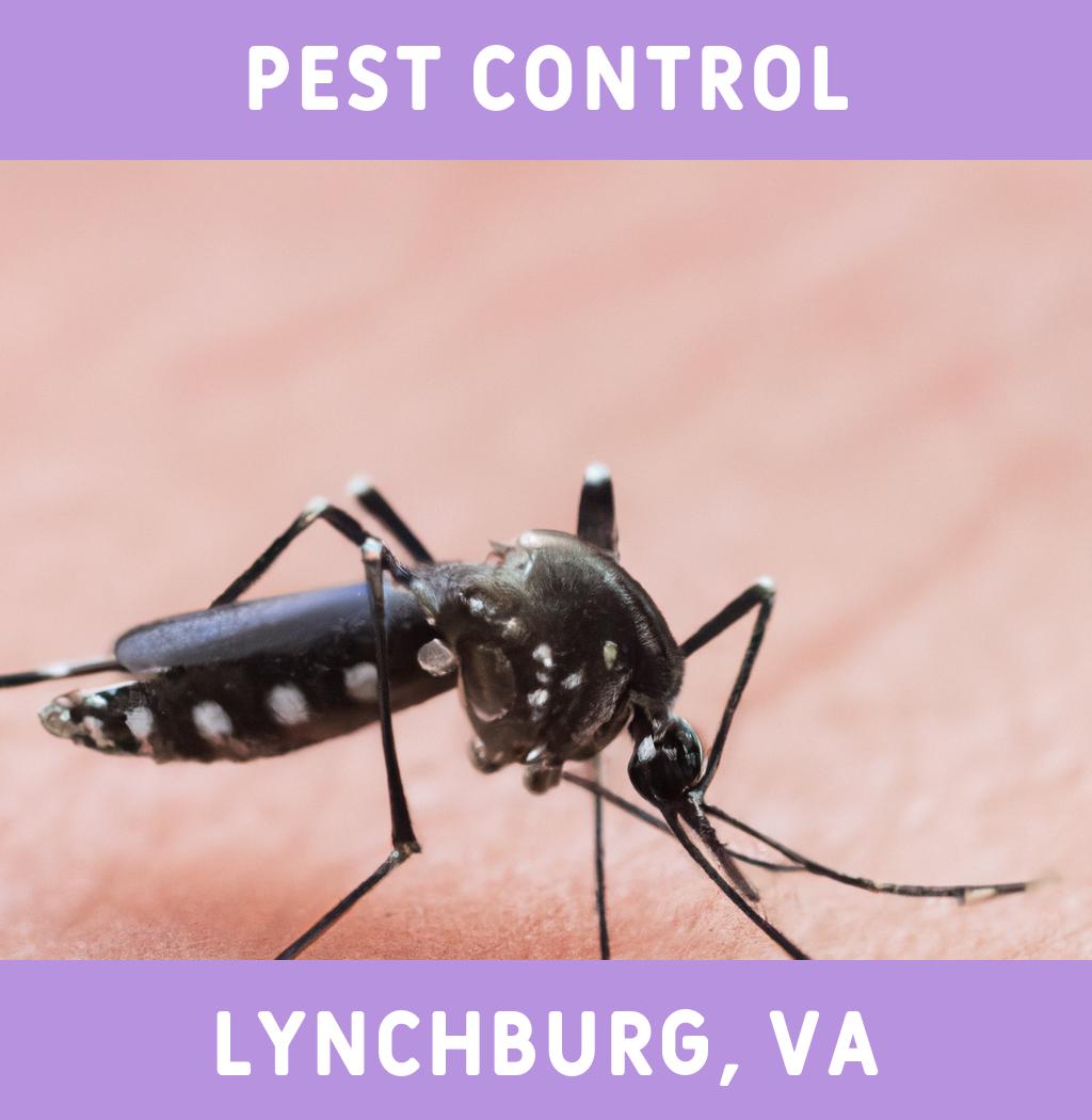 pest control in Lynchburg Virginia
