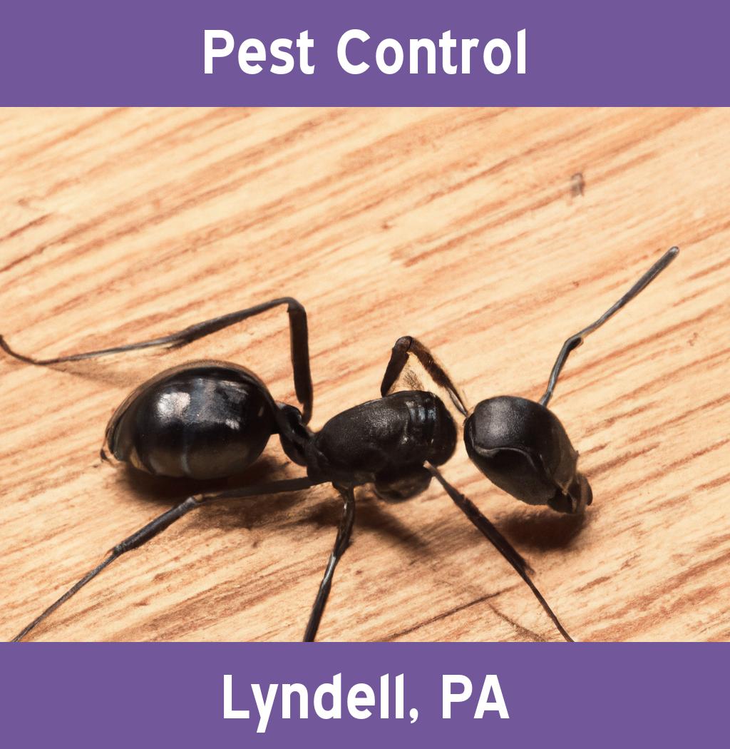 pest control in Lyndell Pennsylvania