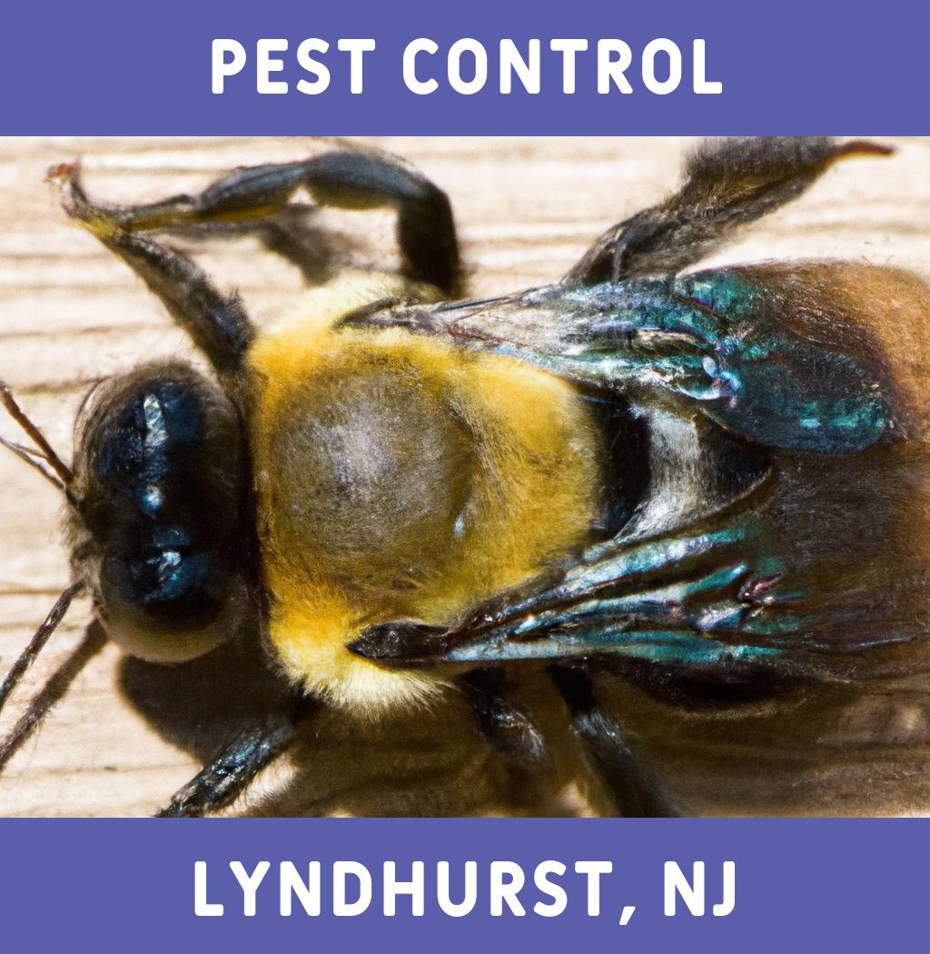 pest control in Lyndhurst New Jersey