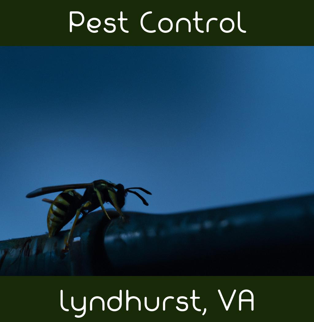 pest control in Lyndhurst Virginia