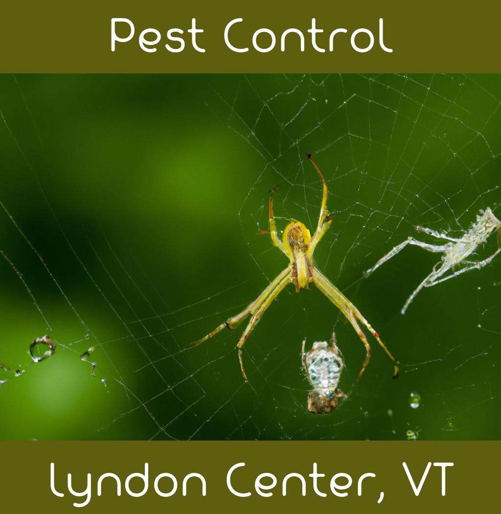 pest control in Lyndon Center Vermont