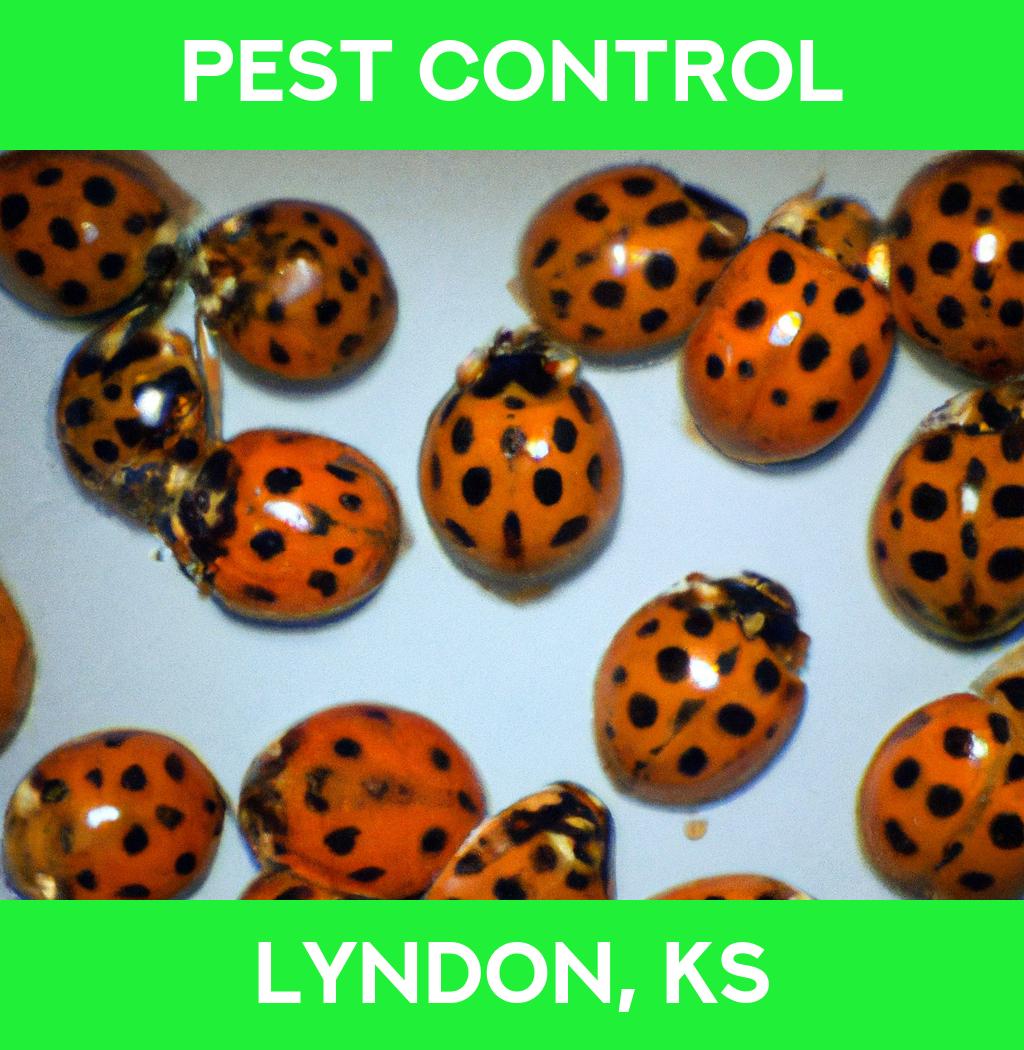 pest control in Lyndon Kansas
