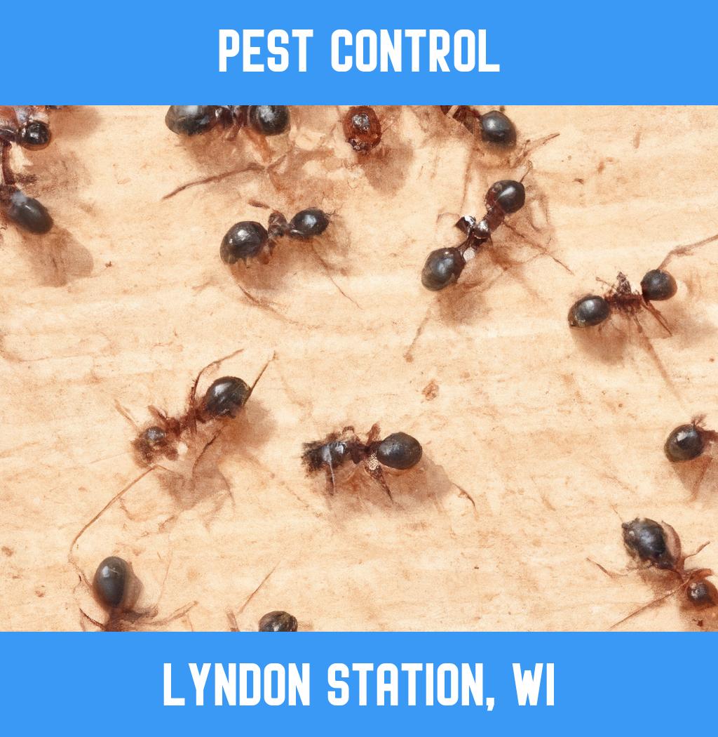pest control in Lyndon Station Wisconsin