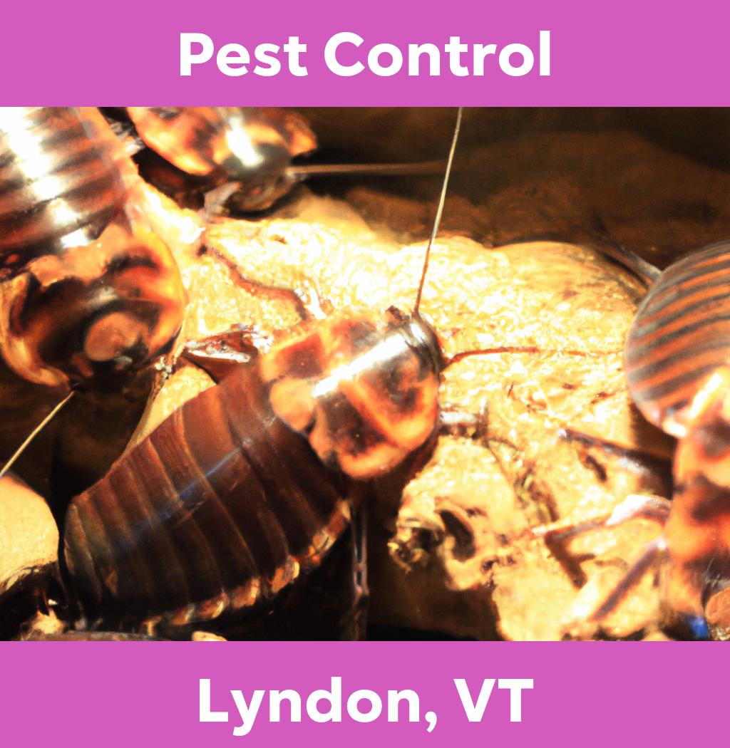 pest control in Lyndon Vermont