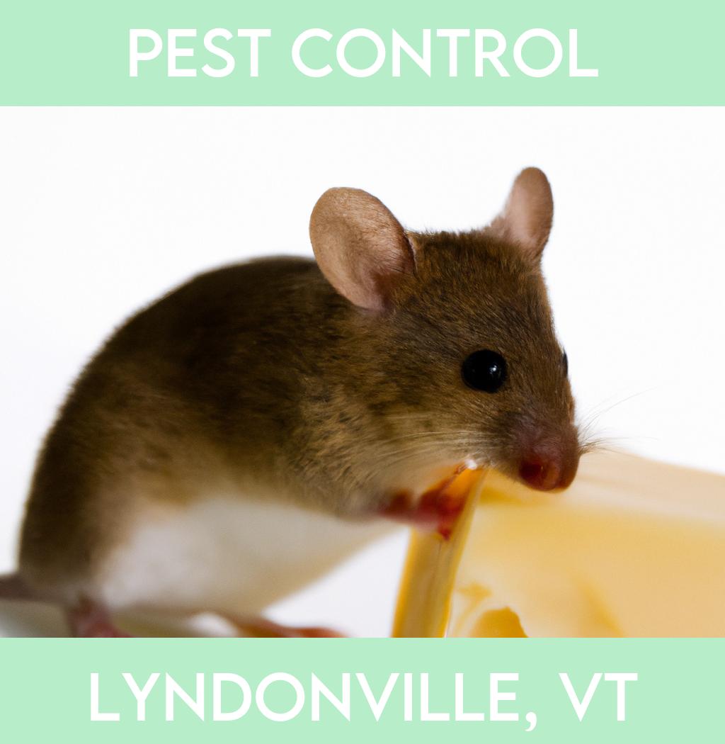 pest control in Lyndonville Vermont