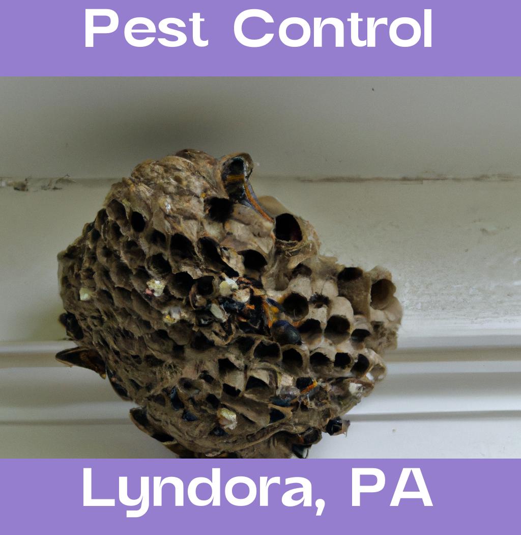 pest control in Lyndora Pennsylvania