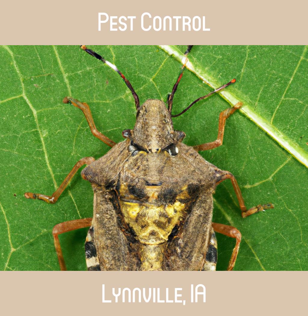 pest control in Lynnville Iowa