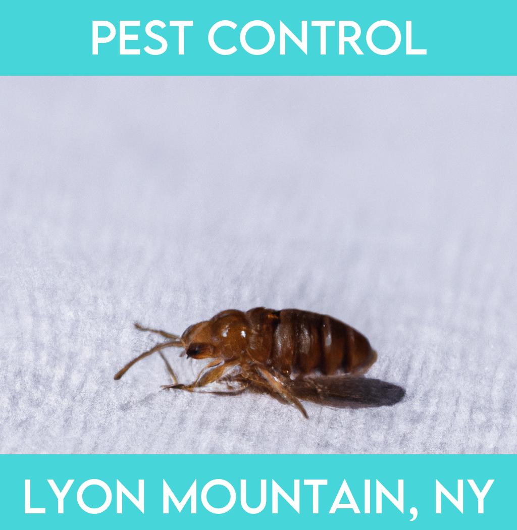 pest control in Lyon Mountain New York