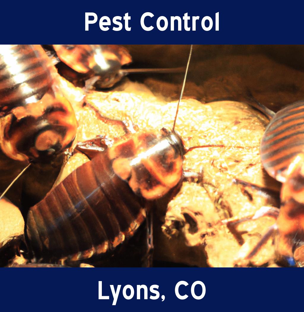 pest control in Lyons Colorado