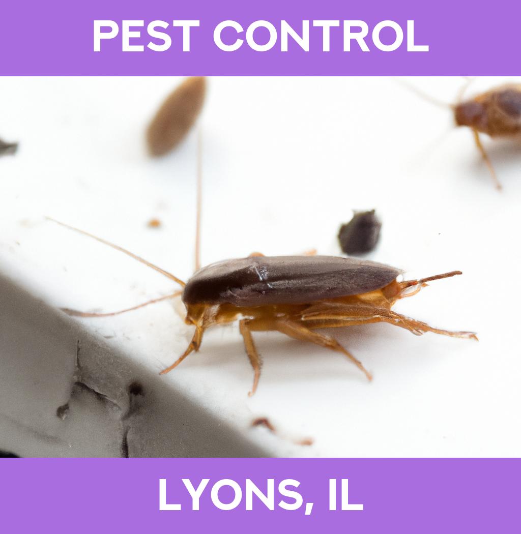 pest control in Lyons Illinois