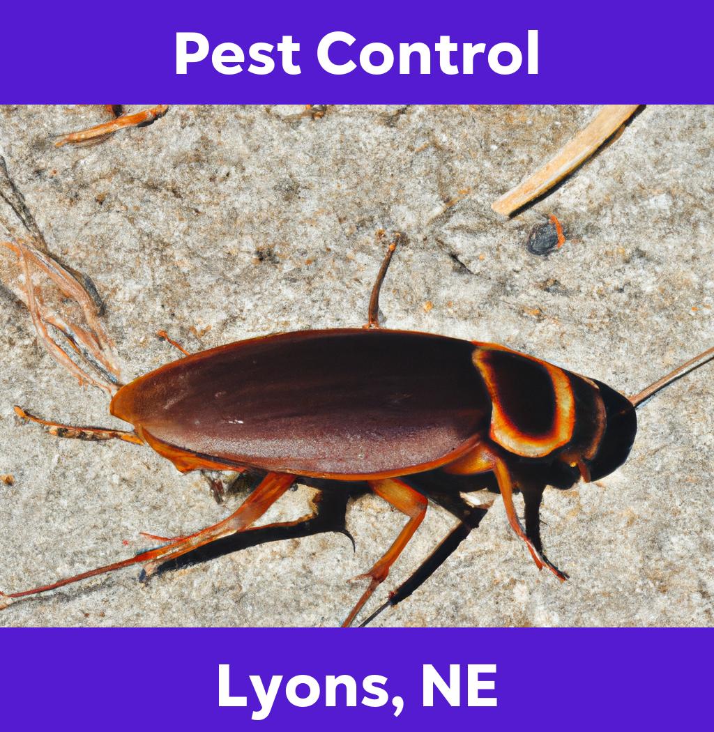 pest control in Lyons Nebraska