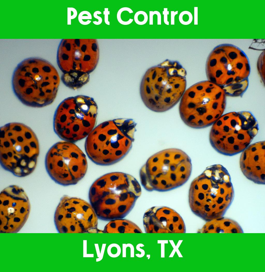 pest control in Lyons Texas