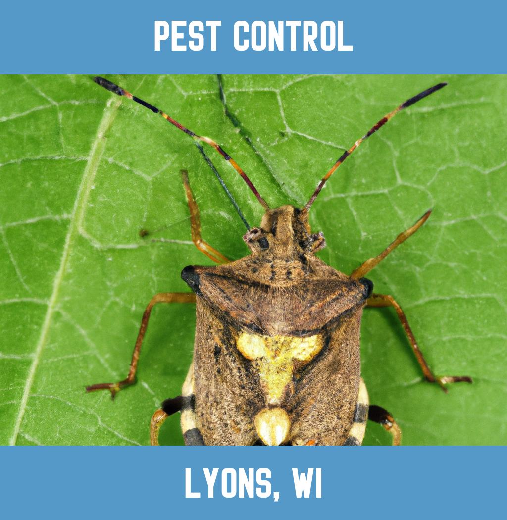 pest control in Lyons Wisconsin