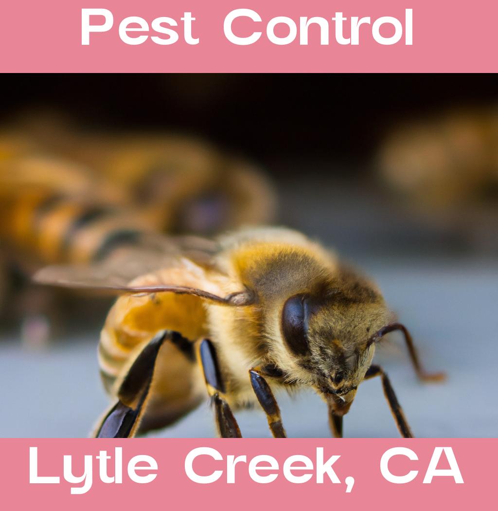 pest control in Lytle Creek California
