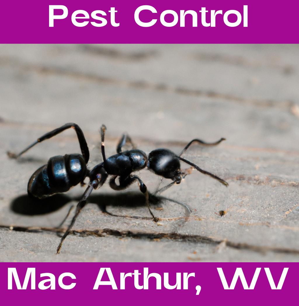 pest control in Mac Arthur West Virginia