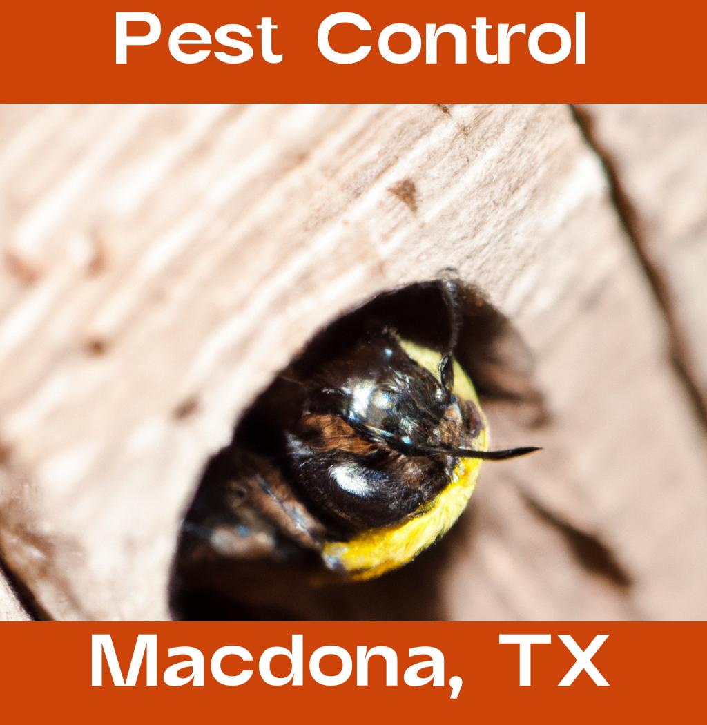 pest control in Macdona Texas
