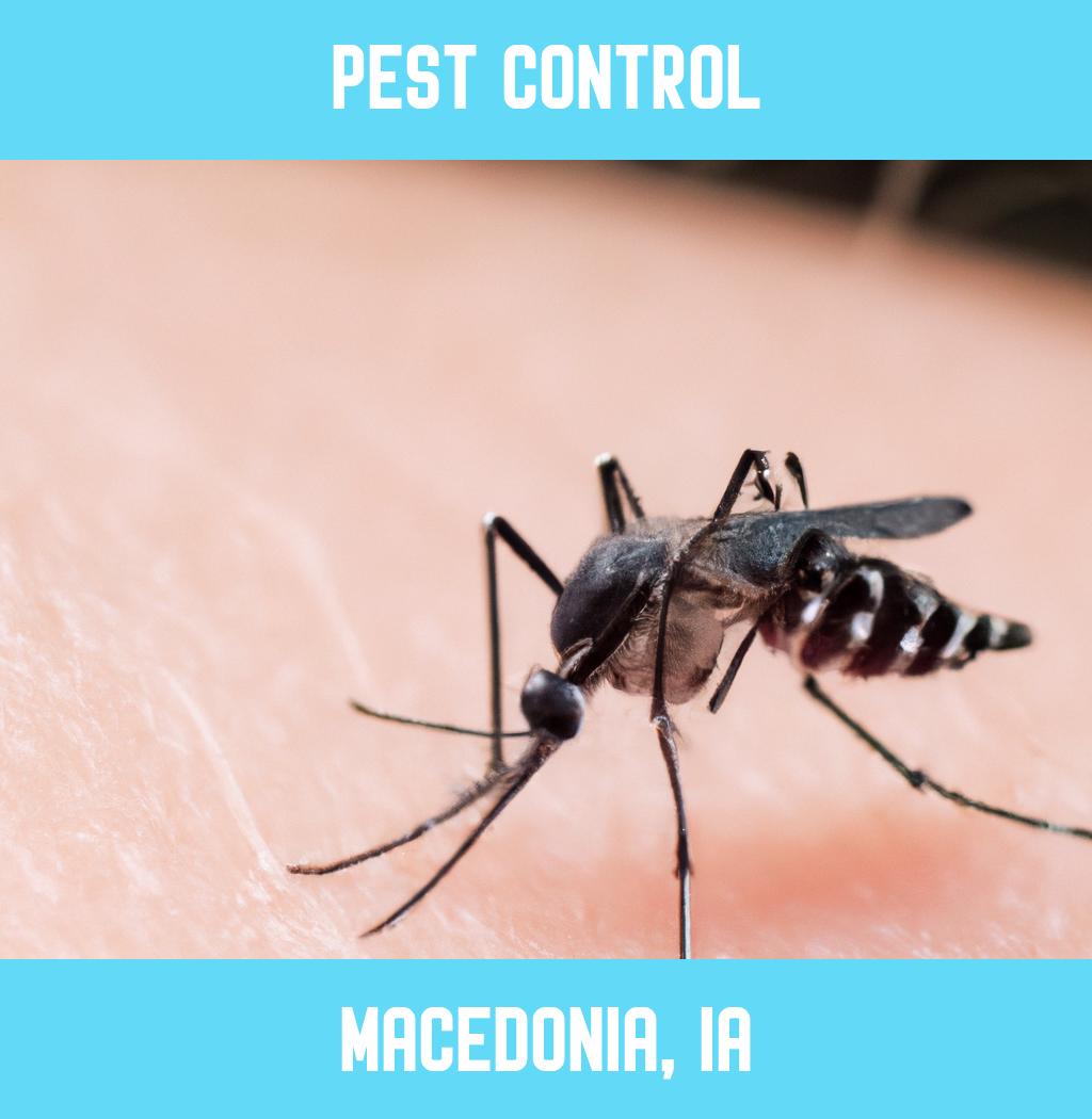 pest control in Macedonia Iowa