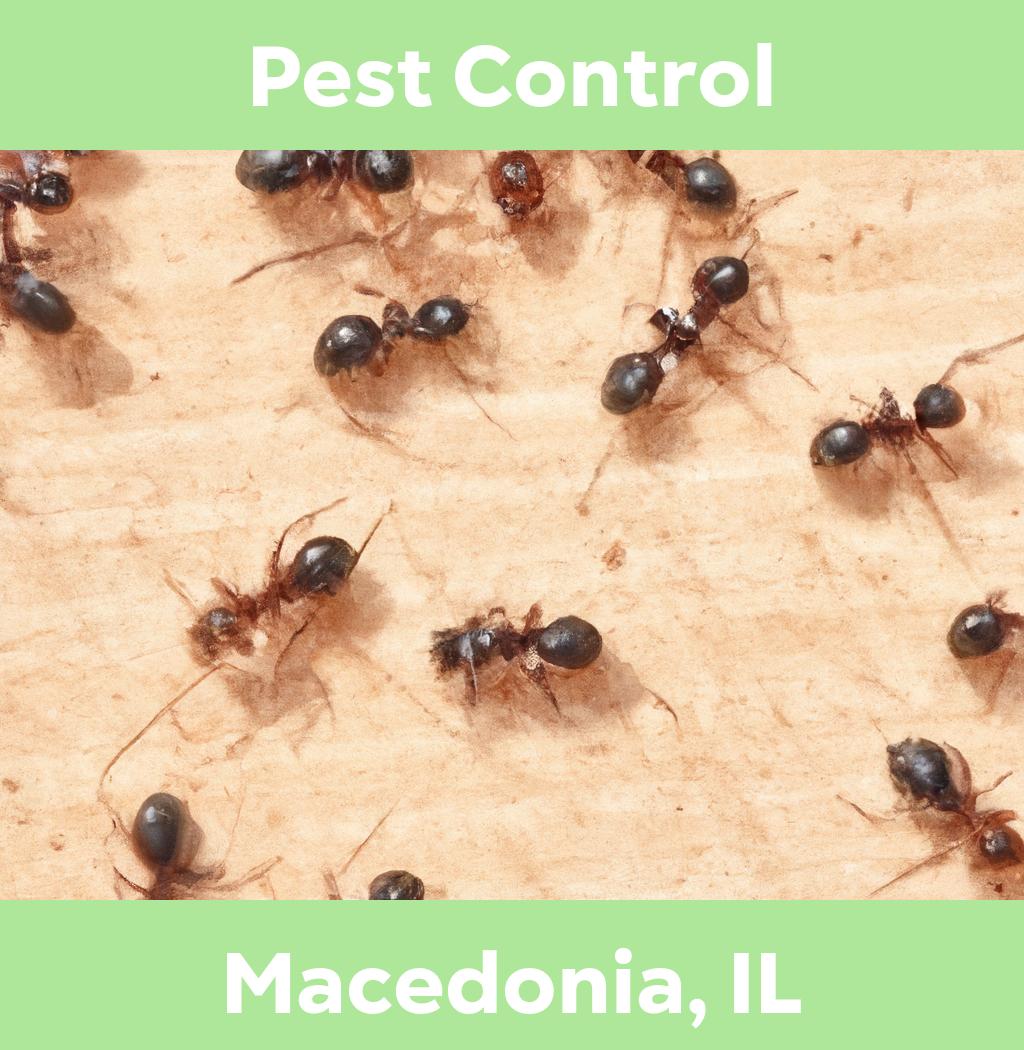 pest control in Macedonia Illinois