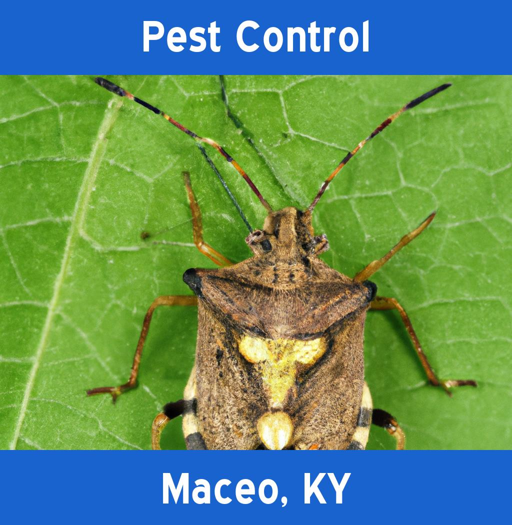 pest control in Maceo Kentucky