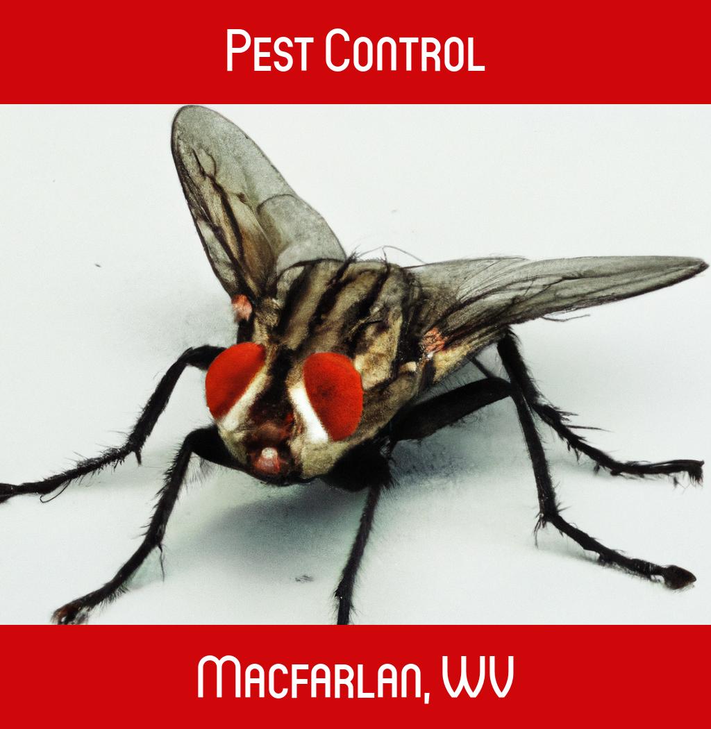 pest control in Macfarlan West Virginia