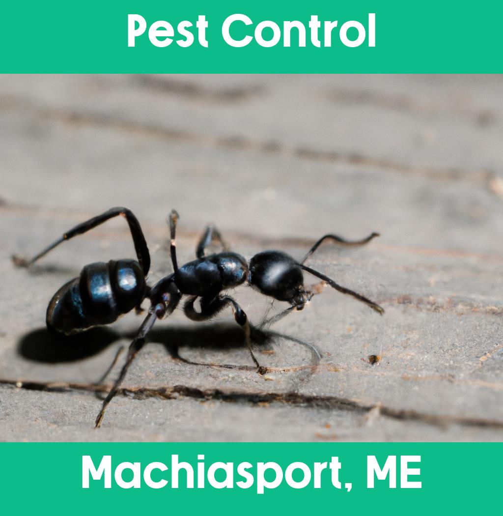 pest control in Machiasport Maine
