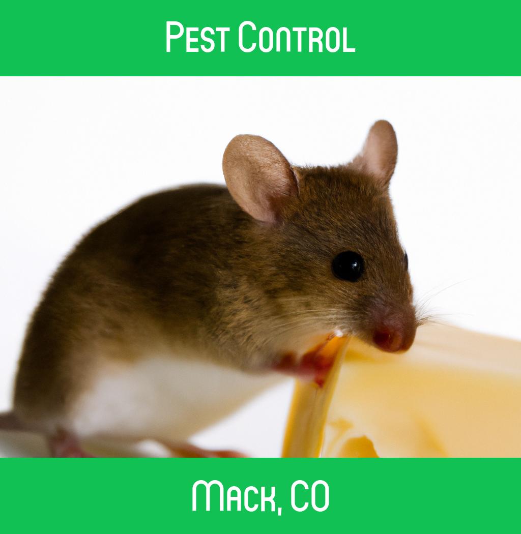 pest control in Mack Colorado