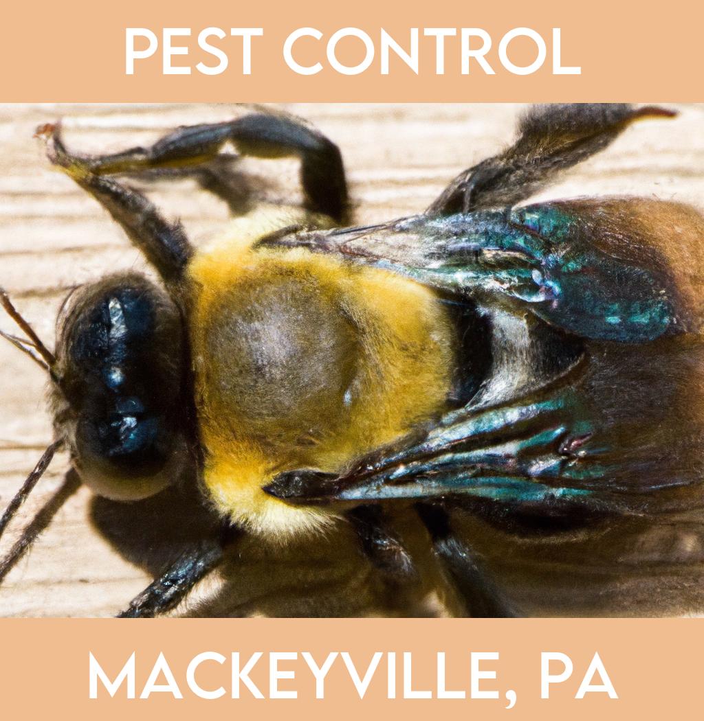 pest control in Mackeyville Pennsylvania