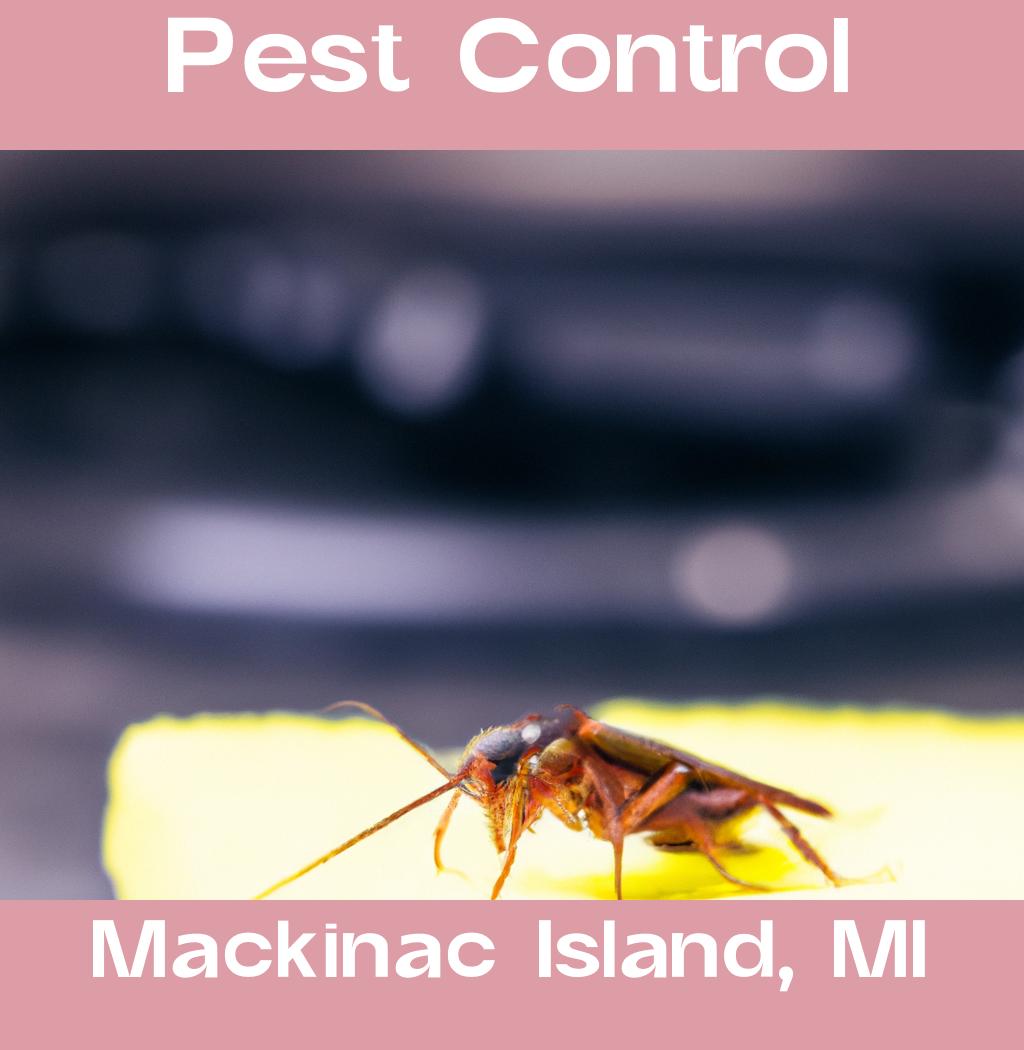 pest control in Mackinac Island Michigan