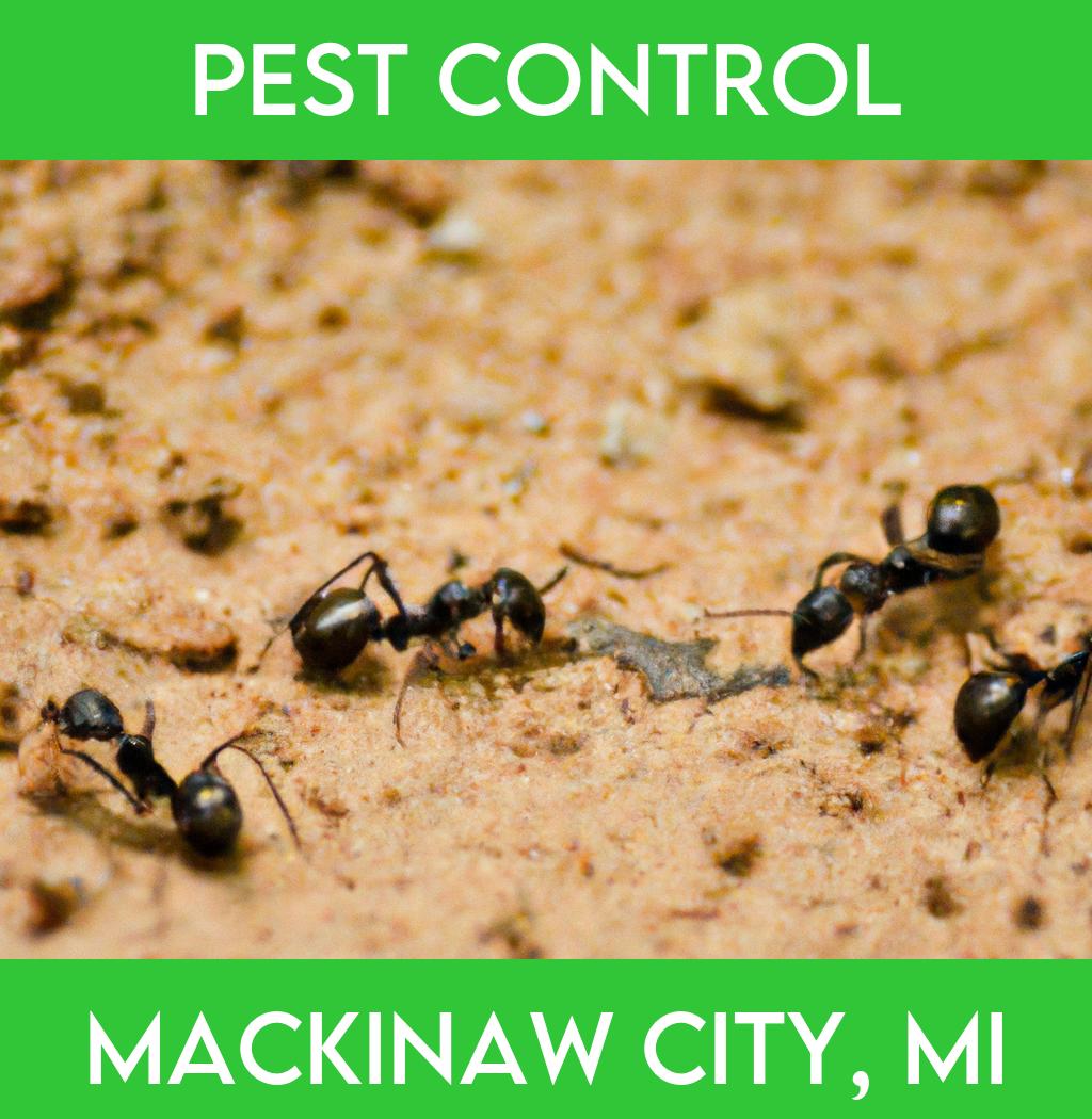 pest control in Mackinaw City Michigan