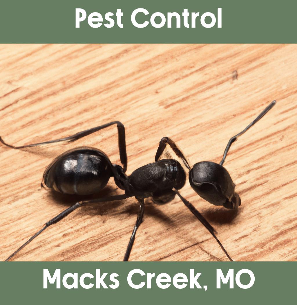 pest control in Macks Creek Missouri